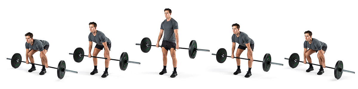 Barbell Deadlift Exercise