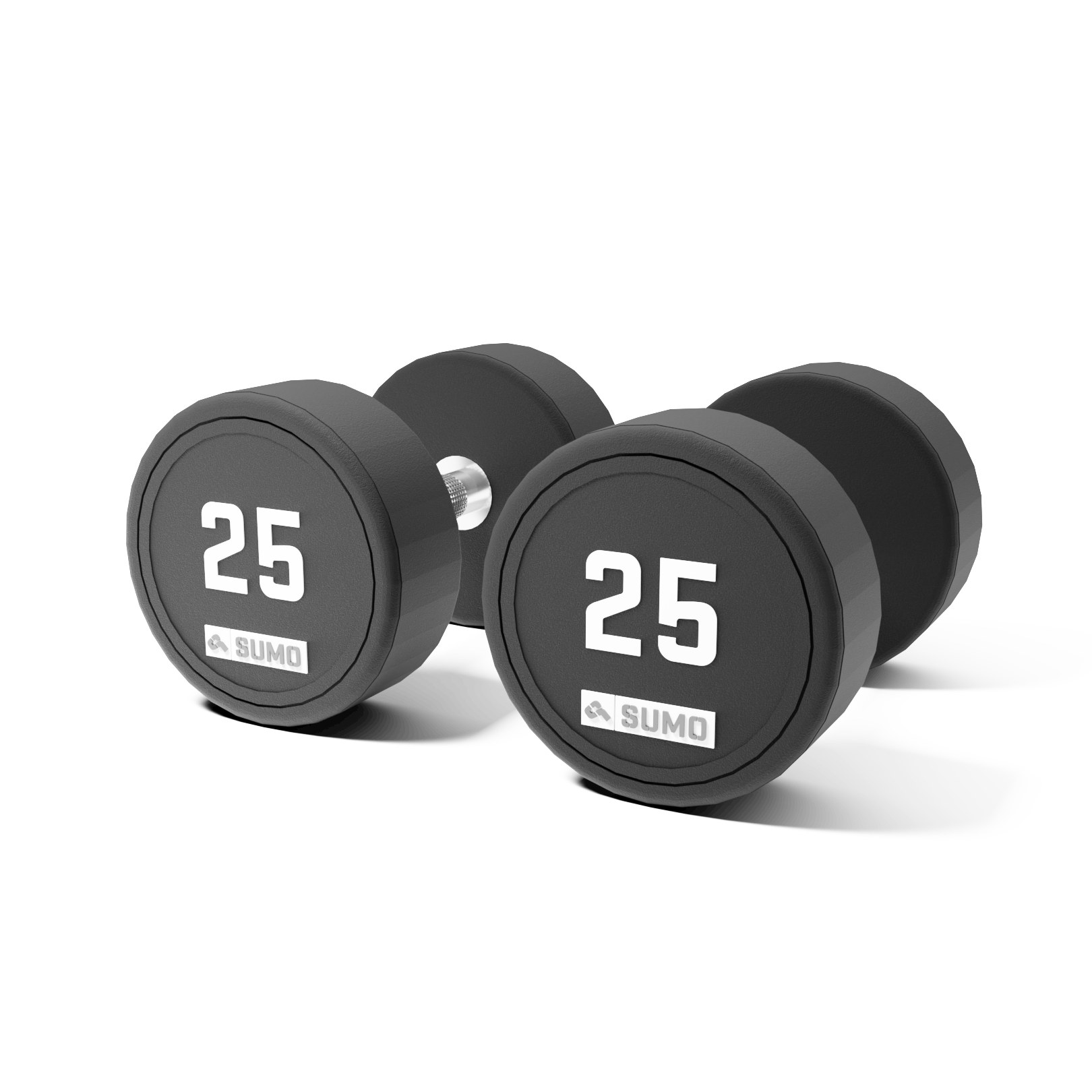 25kg Commercial PU Dumbbell Pair